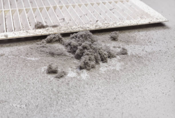Best Dryer Vent Cleaning Services  in Mahopac, NY