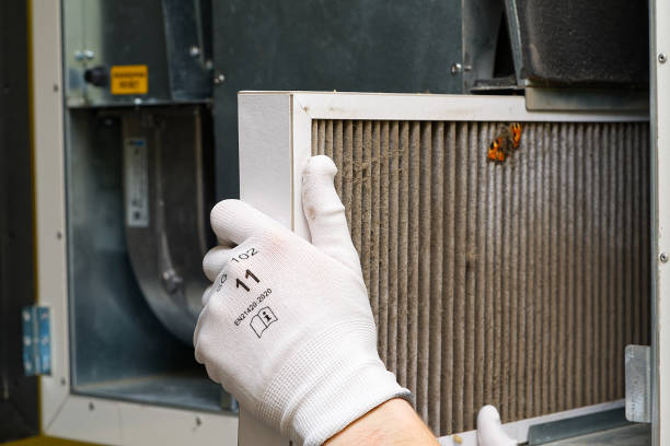 Best Home Air Vent Cleaning  in Mahopac, NY