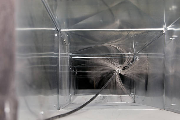 Best Air Duct Mold Removal  in Mahopac, NY